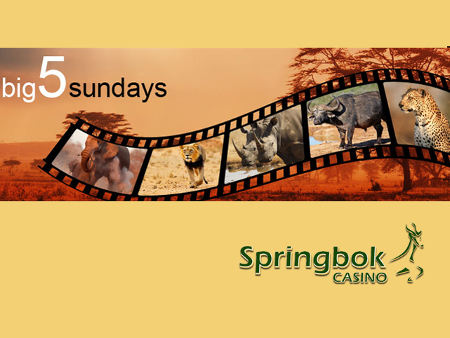 Springbok Casino Goes Wild with Big 5 Sundays