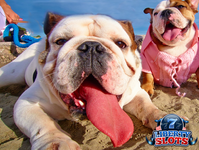 Win Big in Liberty Slots' August Tournaments