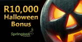 Big Casino Bonuses on Offer at Springbok Casino