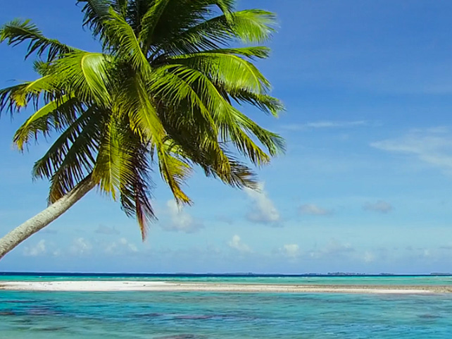 2nd Round of Satellites for WSOPC Caribbean in St. Maarten Starts January 26