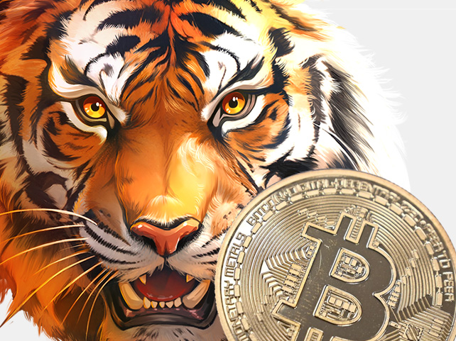 Everygame Poker is Giving Free Spins on Two Chinese Tiger Slots  and EXTRA Free Spins with Bitcoin Deposits