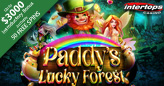 New Paddy
