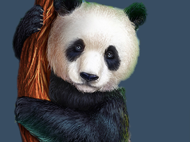 $2000 Slot Tournament Features Players' Four Favorite Chinese Slots