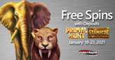 Intertops Poker Goes Wild with Free Spins on Primal Hunt and Stampede Slots