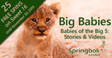 Springbok Casino’s “Babies of the Big 5” Videos feature Big Babies of African Wildlife