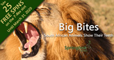 From Fierce Fangs to Massive Molars, South African Casino Shares Cool Facts about African Animals’ Teeth