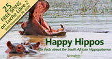 South African Casino Shares Fascinating Facts About Hippos