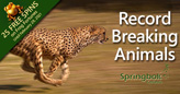 South African Casino Salutes Record-Breaking Animals