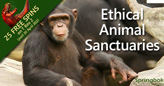 South African Casino Salutes Ethical Animal Sanctuaries for Injured and Orphaned  Wildlife