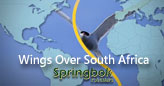 Springbok Casino Marvels at Bird Migration in “Wings Over South Africa” Feature