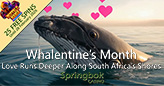 Springbok Casino Launches "Whalentines Month" with a Splash, Offering Players 25 Free Spins