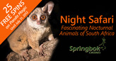 Take a Night Safari and Enjoy Fascinating South African Nocturnal Animals