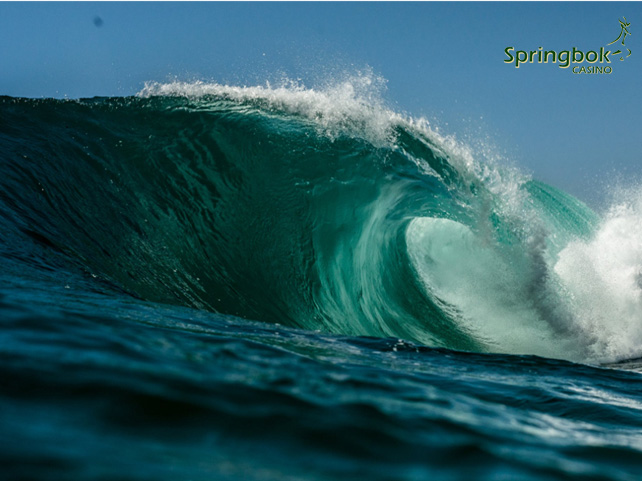 South African Casino Celebrates World Oceans Day with Unbelievable Facts About Oceans