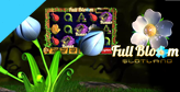 Slotland goes Full Bloom