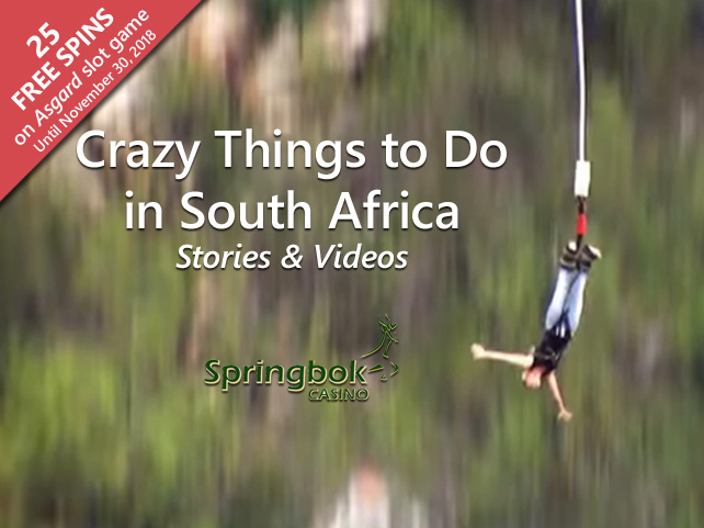 Crazy Things to Do in South Africa Videos