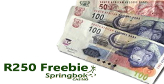 Springbok Casino offering ZAR250 gift