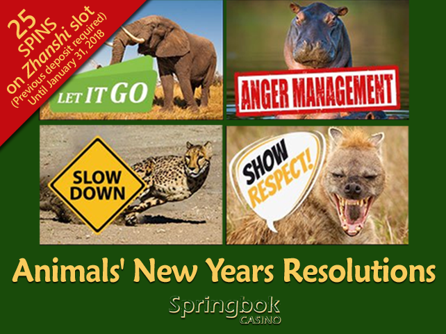 Springbok Casino celebrating New Year’s resolutions