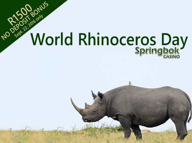 Celebrate World Rhino Day with Springbok Casino