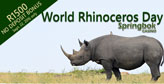Celebrate World Rhino Day with Springbok Casino