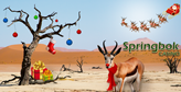 Springbok Casino running ‘Springolph’ campaign