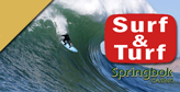 Springbok Casino returns with Surf And Turf