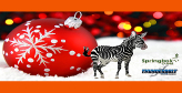 December Freeroll on Naughty Or Nice